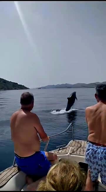 Zadar: Adventure on 6 islands, 3 lagoons, 1 cave, Bio Fruits - Swimming in the first quiet lagoon