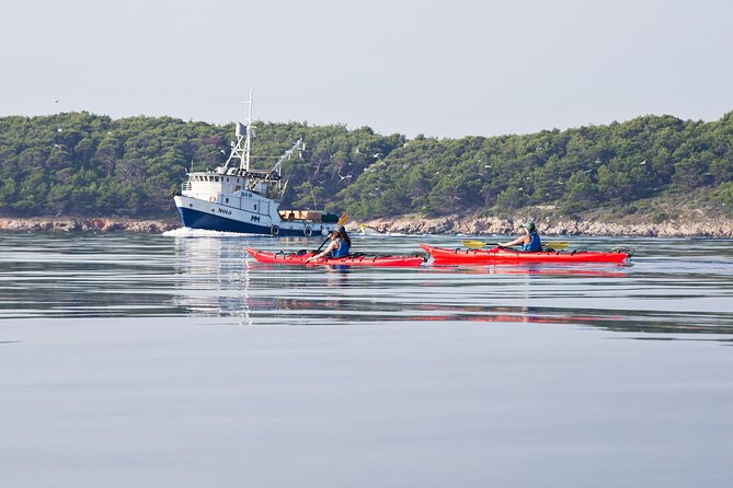 Zadar Archipelago 3 Islands Sea Kayaking Day Trip - The islands, caves, cliffs, and beaches