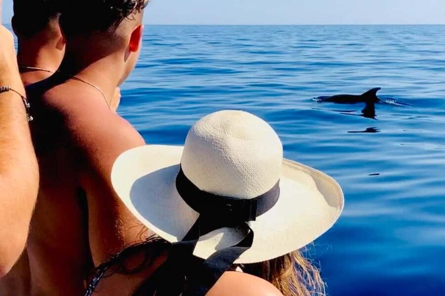 Zadar: Island-Hopping, Swimming & Snorkeling SpeedBoat Tour - What the guide can add to the day