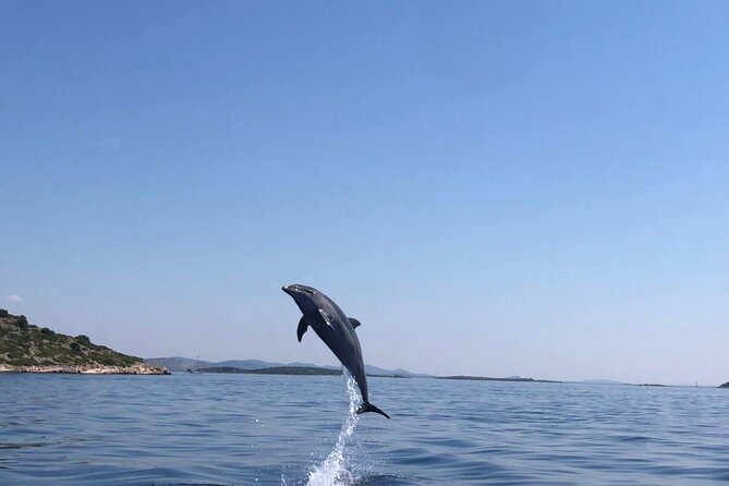 Zadar: Island Luxury Speedboat Tour with Snorkeling - What is included, and what costs extra
