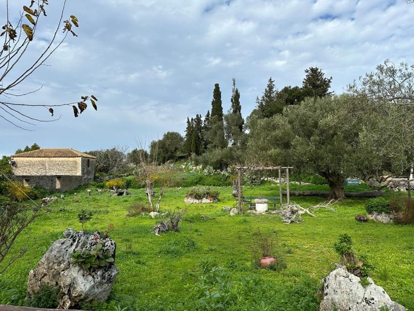 Zakynthos Premium 4x4 Island Experience - A traditional Greek lunch in the village